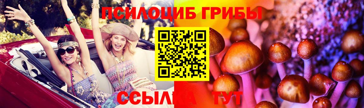 Псилоцибиновые грибы прущие грибы  Вход с VPN  Магнитогорск 